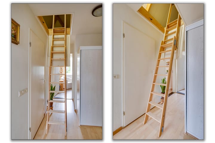 Foto 61 van Gerbera 3