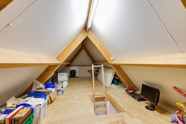 Foto 62 van Gerbera 3