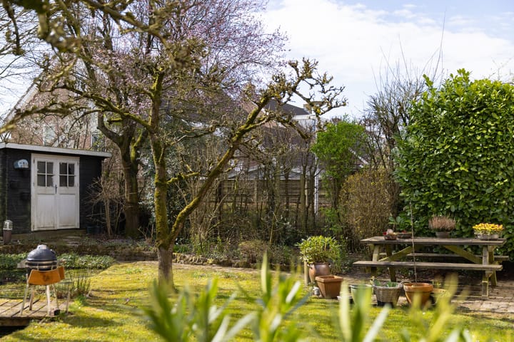 Foto 36 van Kluut 17