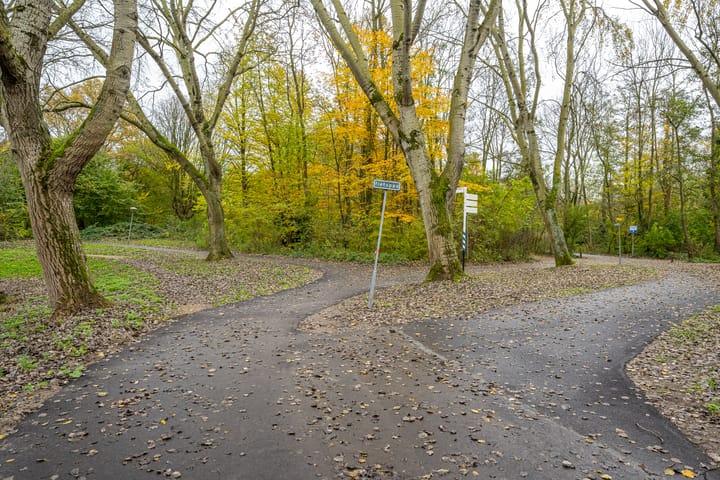 Foto 41 van Esdoorndreef 31