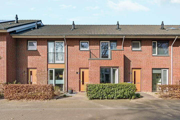 undefined main image