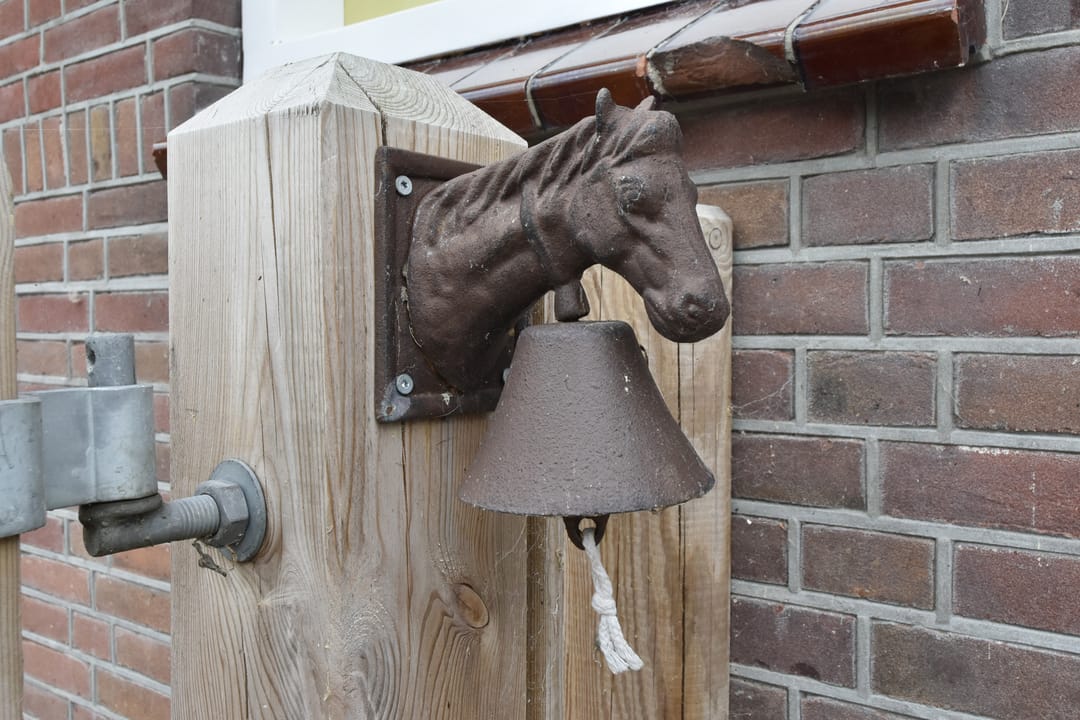 Foto 11 van Oostvlietweg 29