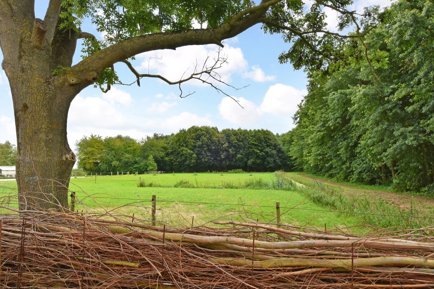 Foto 49 van Oostvlietweg 29