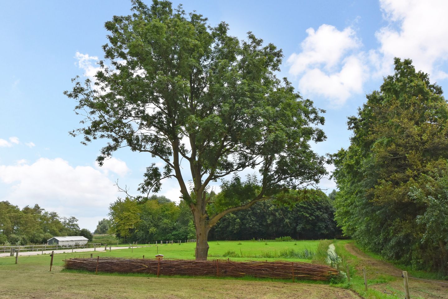 Foto 50 van Oostvlietweg 29