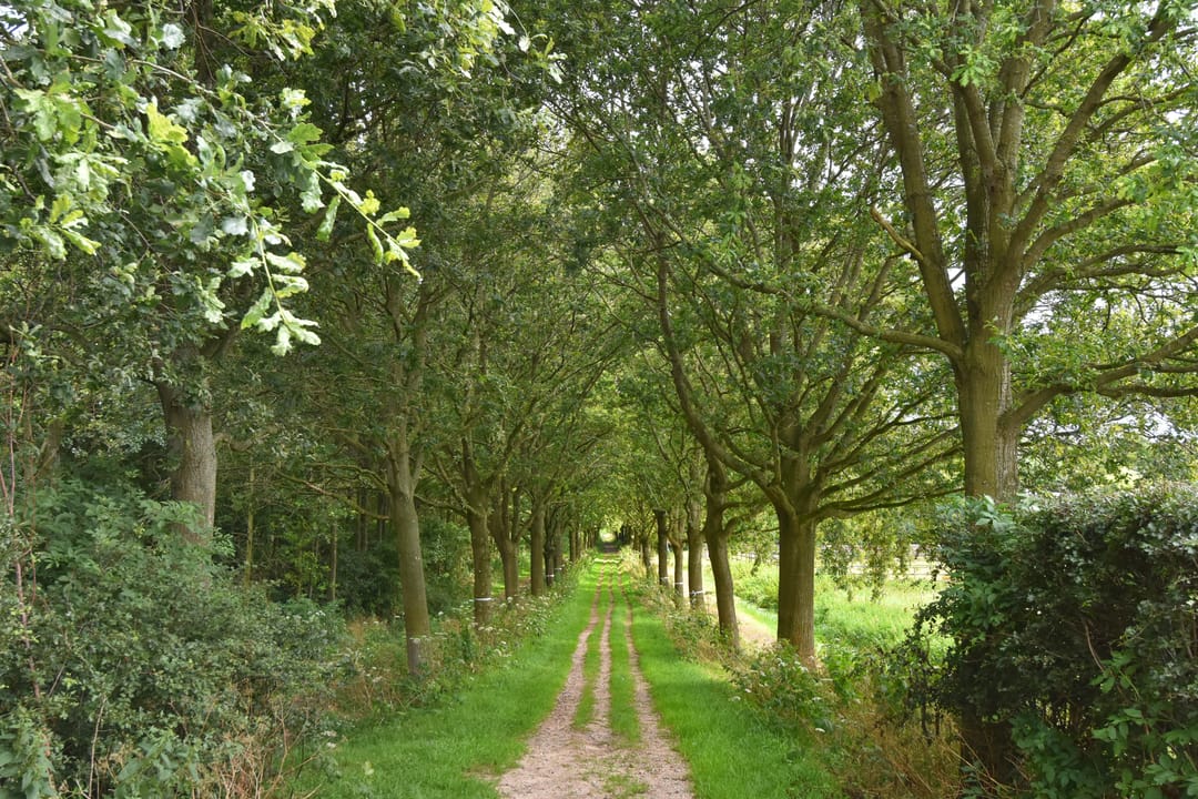 Foto 53 van Oostvlietweg 29