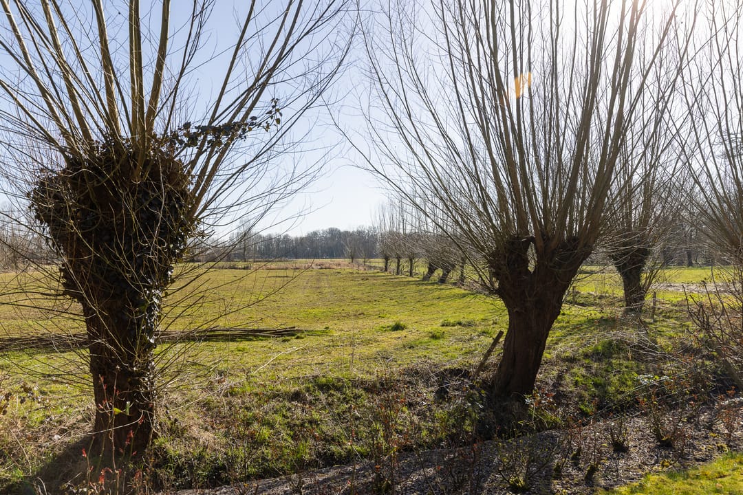 Photo 41 of Valentijnlaan 42