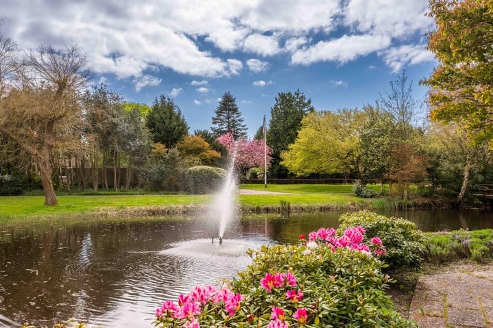 Bekijk foto van Lindenlaan 24 D