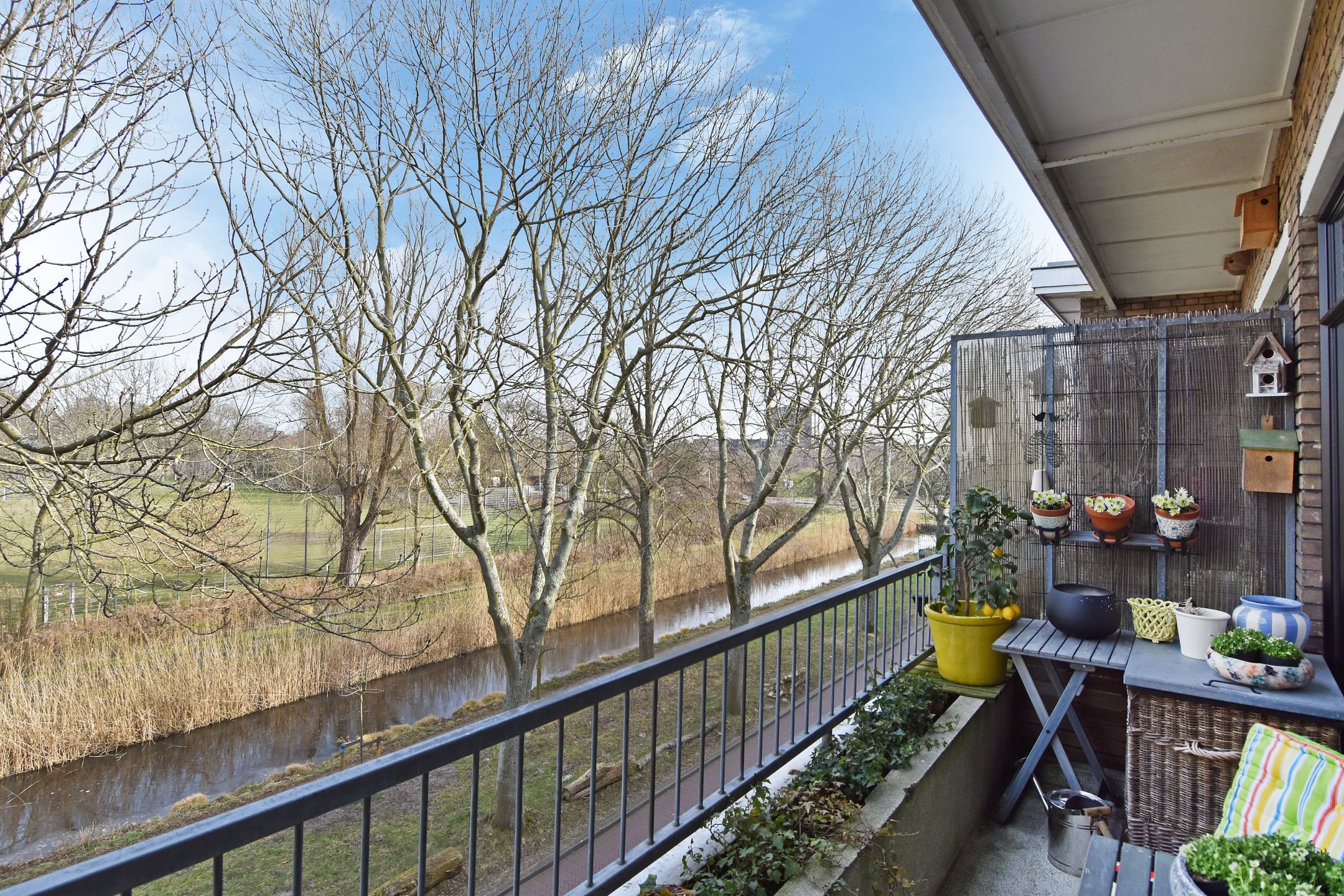 Foto 3 van Carel Reinierszkade 261