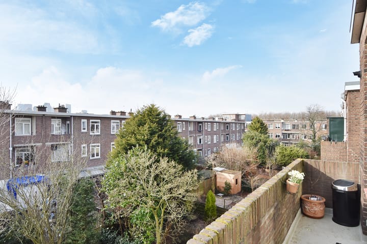 Photo 36 of Carel Reinierszkade 261