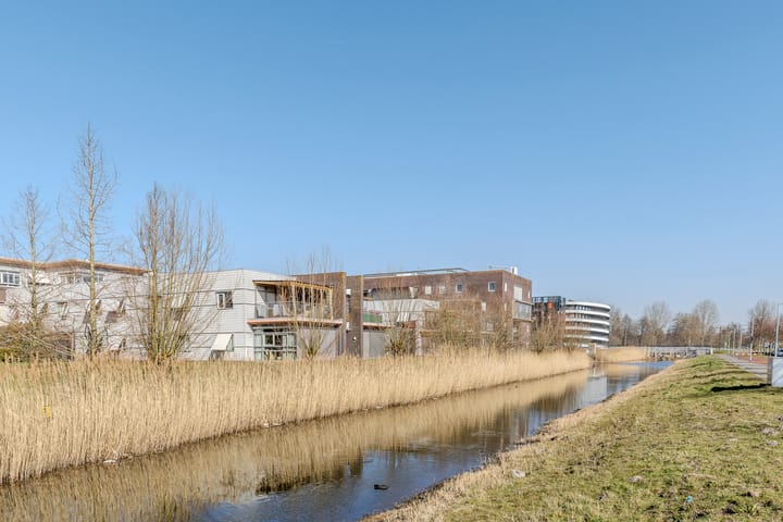 Photo 39 of Rottumeroog 34