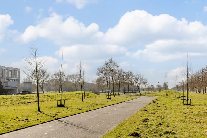 Photo 40 of Rottumeroog 34