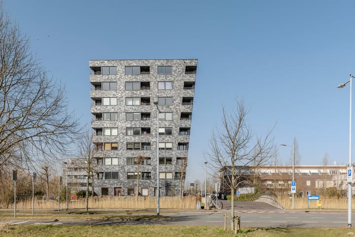 Photo 42 of Rottumeroog 34