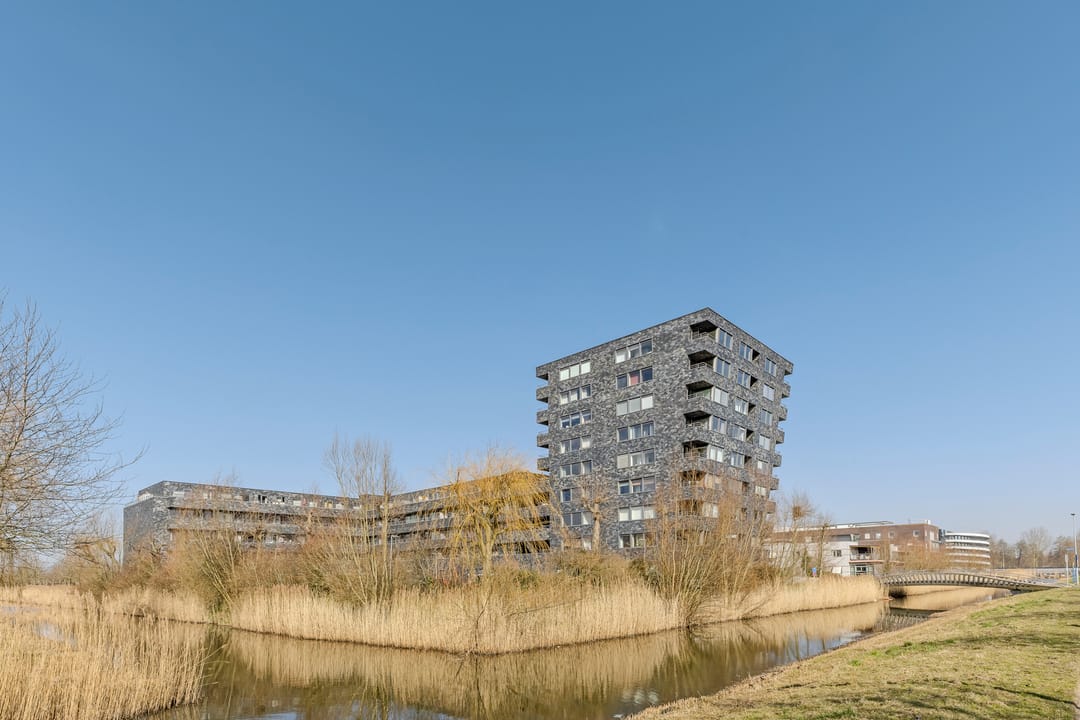 Photo 43 of Rottumeroog 34