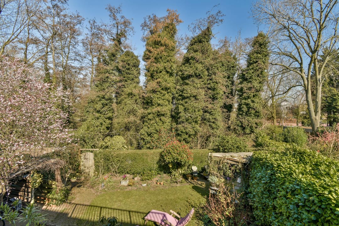 Photo 28 of Plaswijcklaan 12