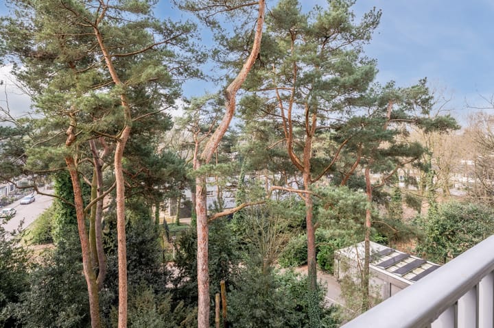 Foto 6 van Hugo Verrieststraat 131