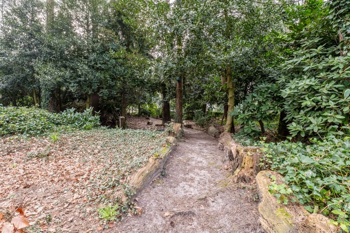 Foto 21 van Hugo Verrieststraat 131