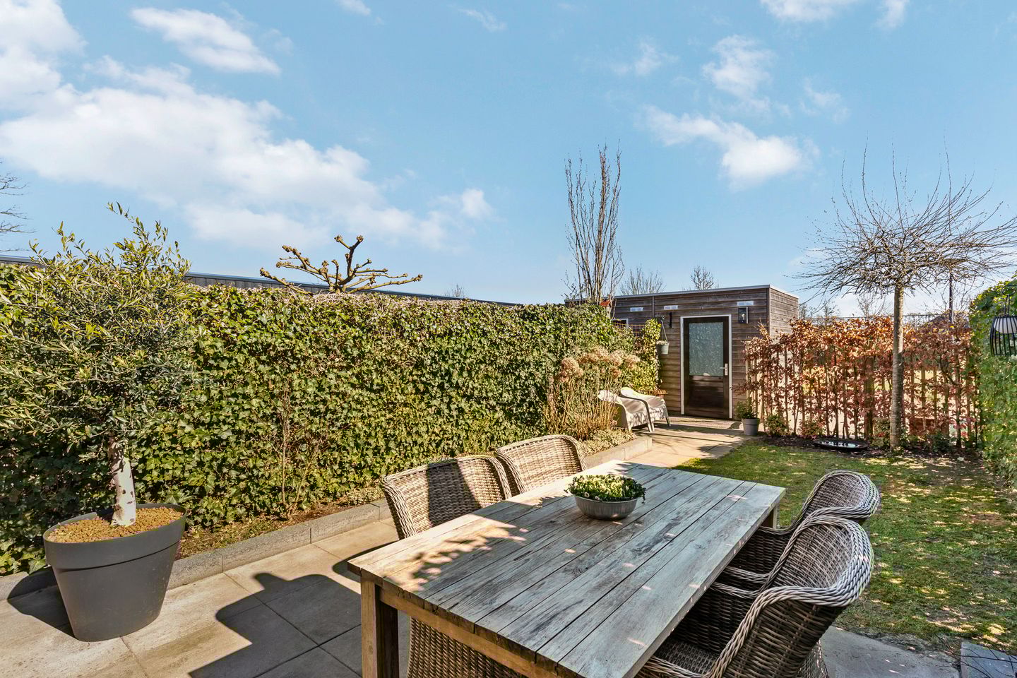 Foto 19 van Rozenbottel 14