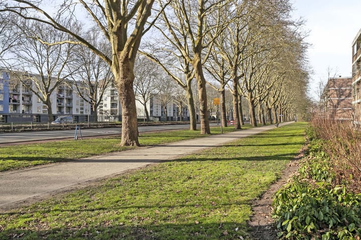 Foto 5 van Plotinusstraat 116