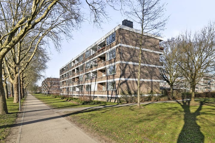 Foto 23 van Plotinusstraat 116