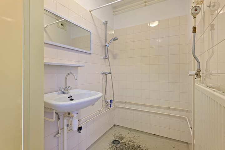 Foto 18 van Boris Pasternakstraat 509