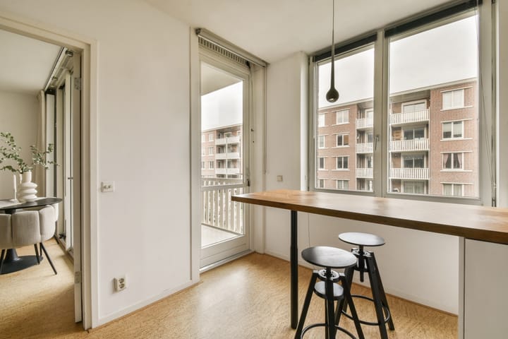 Foto 6 van Jan van Schaffelaarplantsoen 23-B