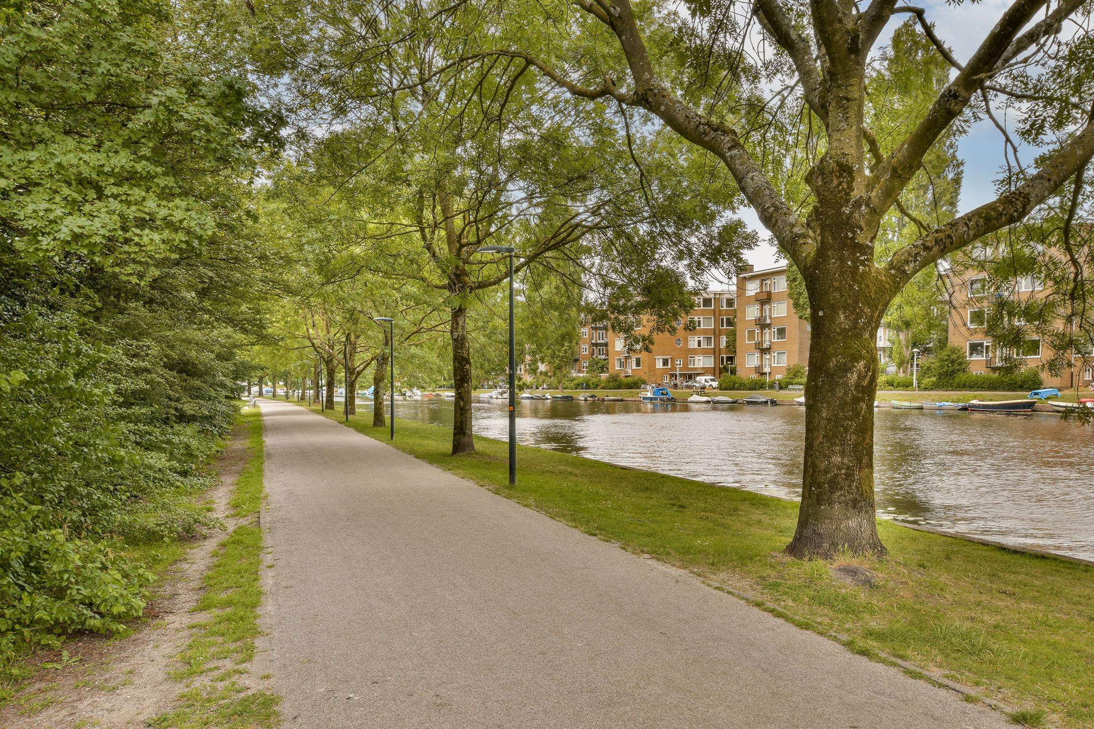 Foto 24 van Jan van Schaffelaarplantsoen 23-B