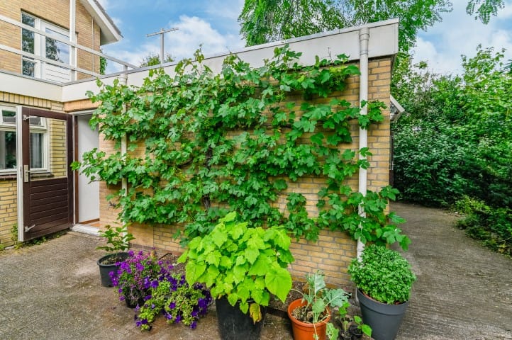 Foto 60 van van Aylvalaan 16