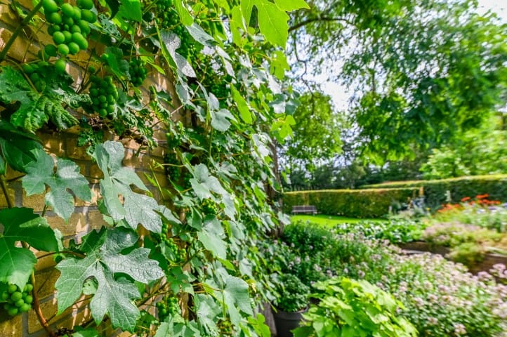 Foto 63 van van Aylvalaan 16