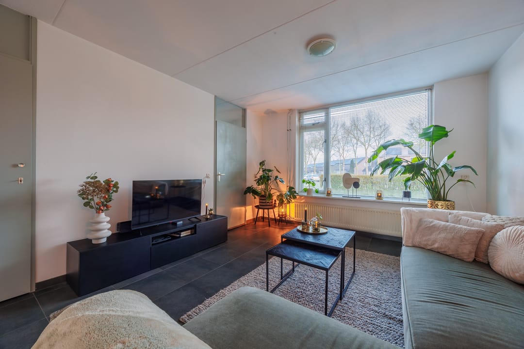 Foto 8 van Albatros 26