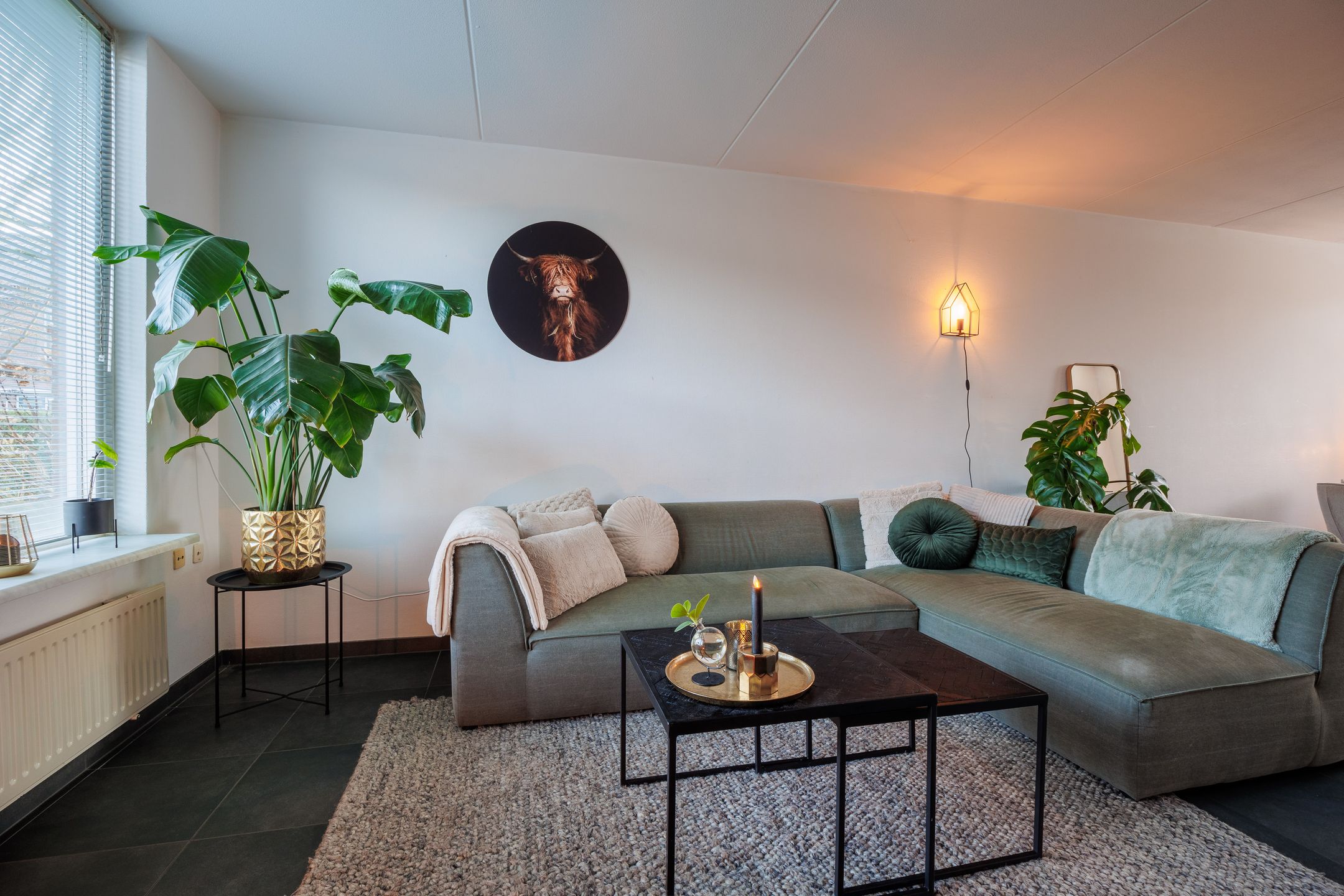 Foto 9 van Albatros 26