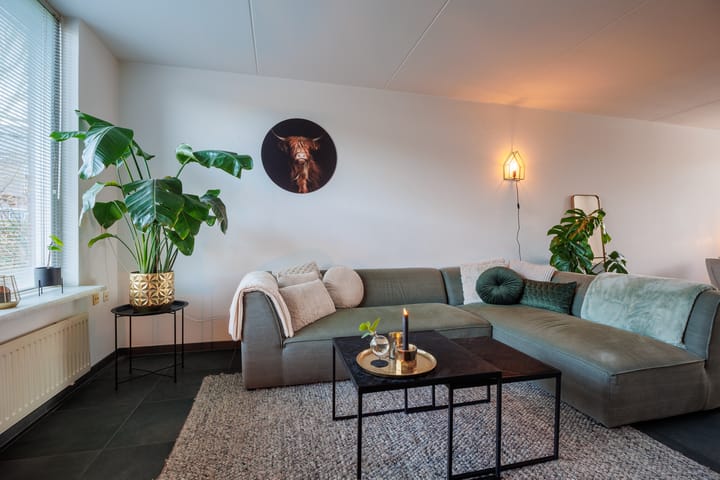 Foto 9 van Albatros 26