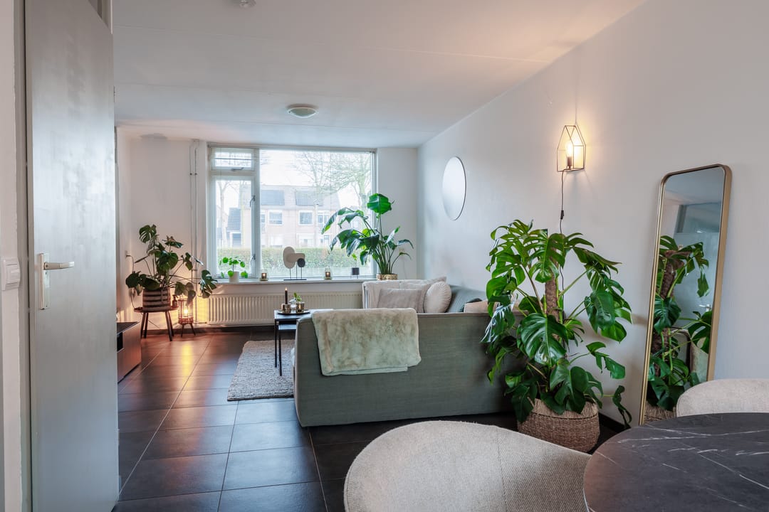 Foto 11 van Albatros 26