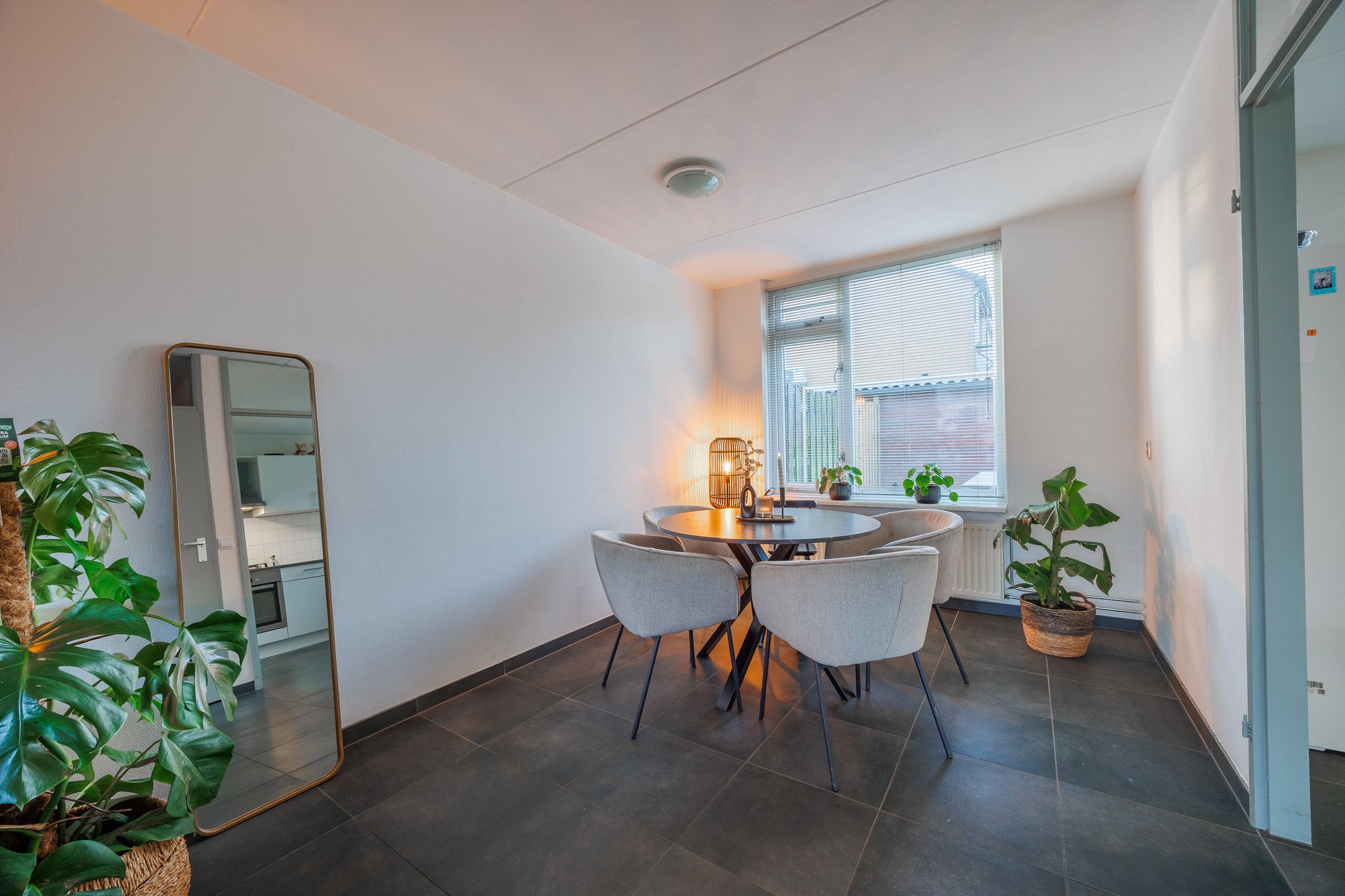 Foto 12 van Albatros 26