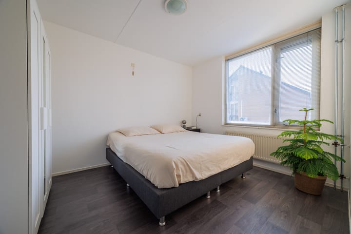 Foto 19 van Albatros 26