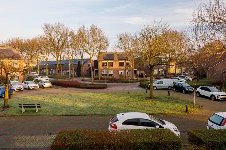Foto 36 van Albatros 26