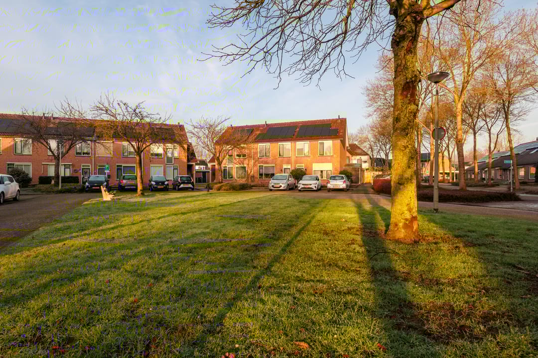 Foto 37 van Albatros 26