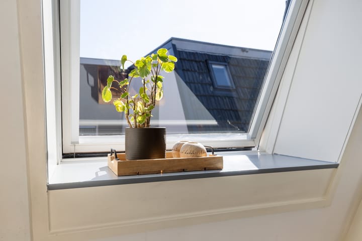 Foto 19 van Synagogepad 8