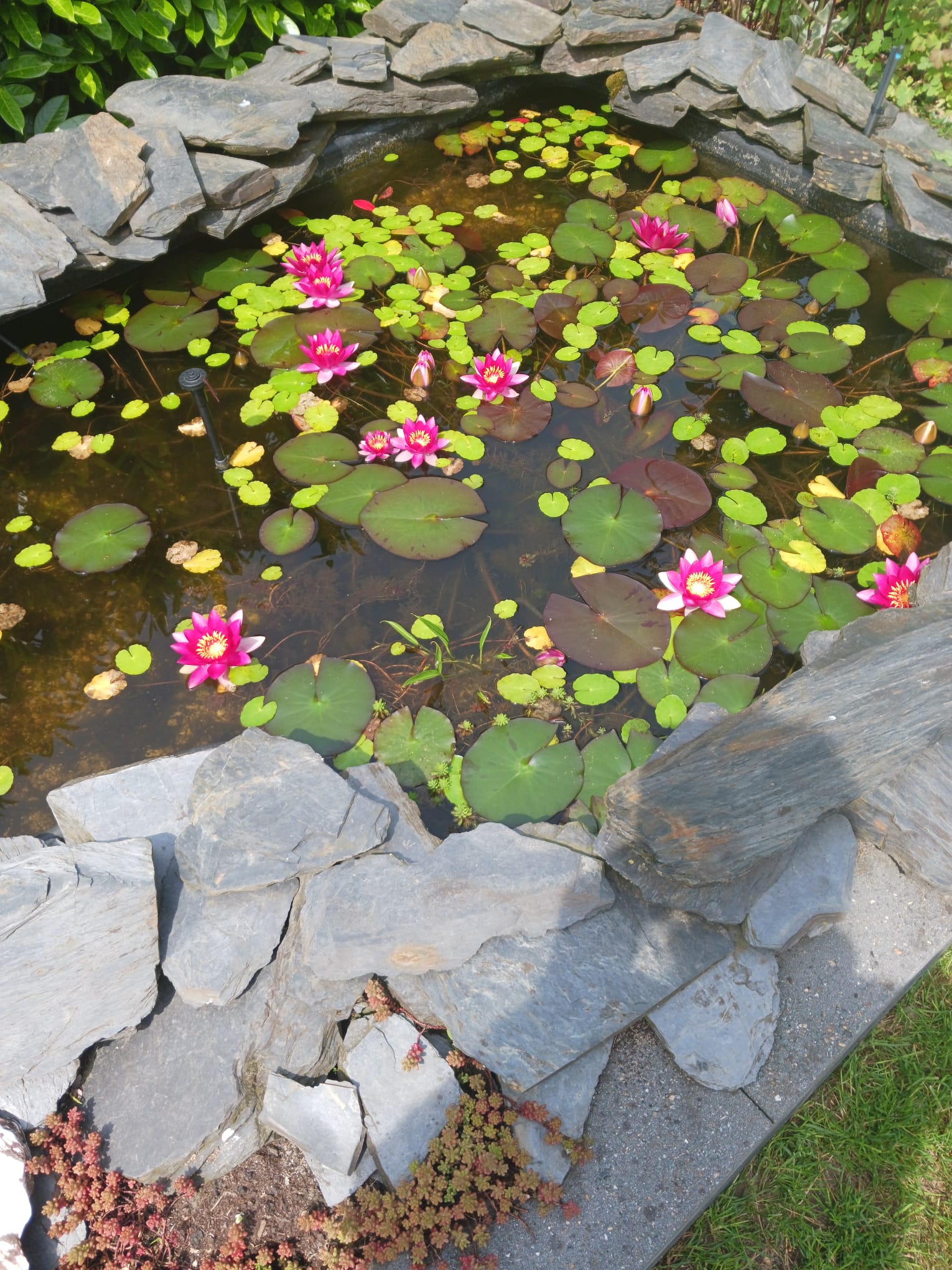 Foto 45 van Zuiderveldweg 20-29