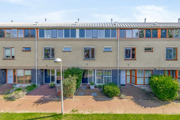 undefined main image