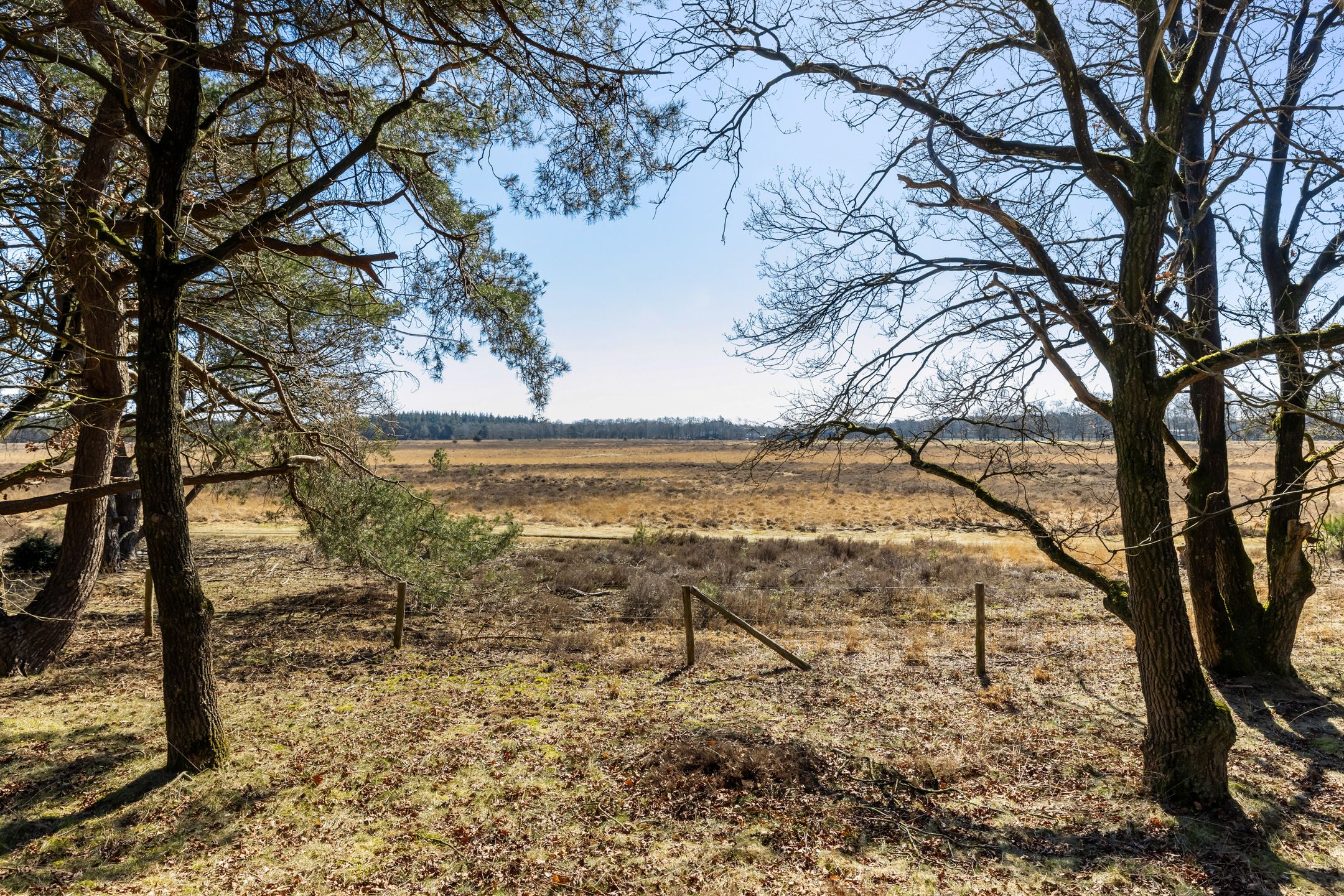 Foto 30 van Stakenberg 75-0027