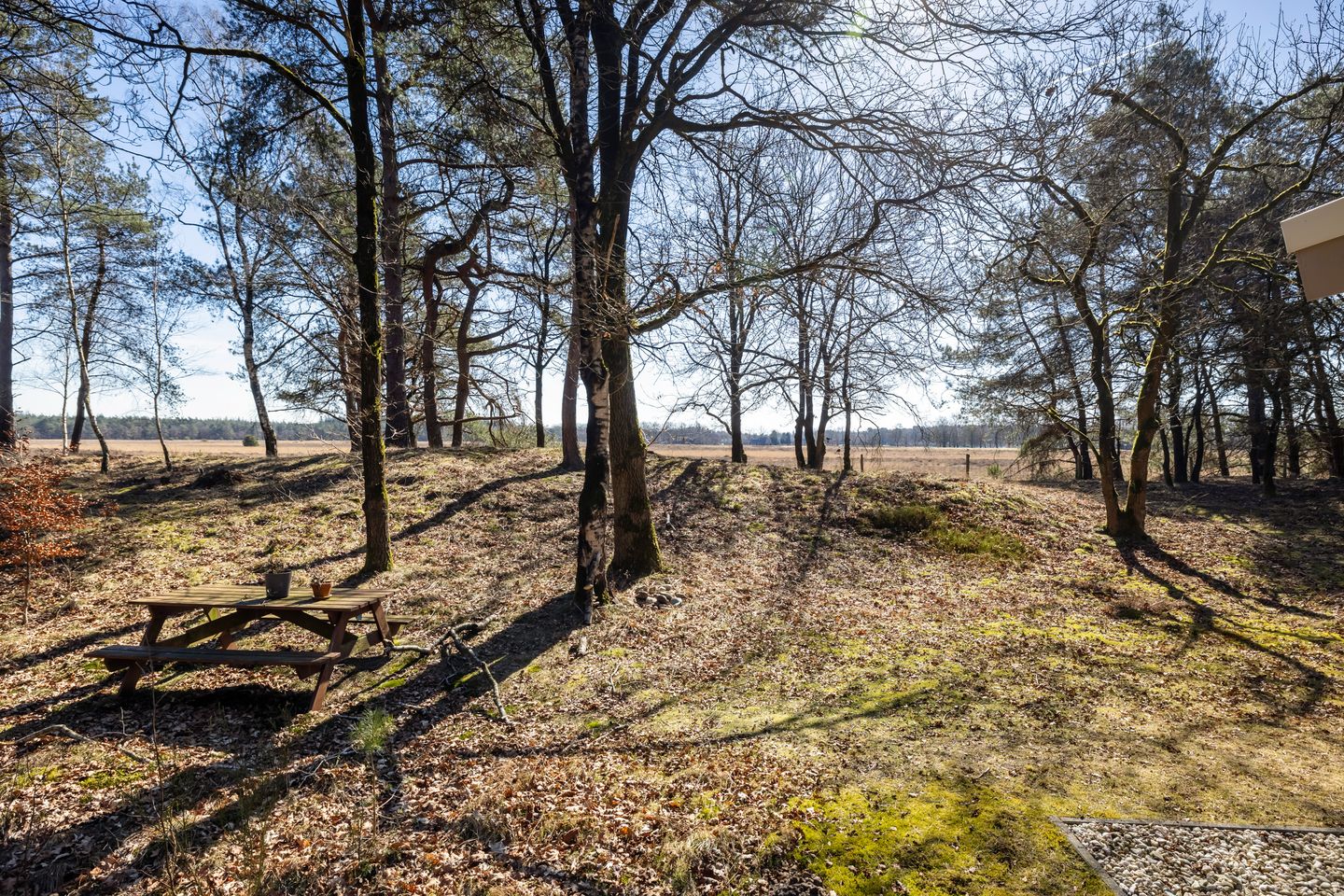 Foto 34 van Stakenberg 75-0027