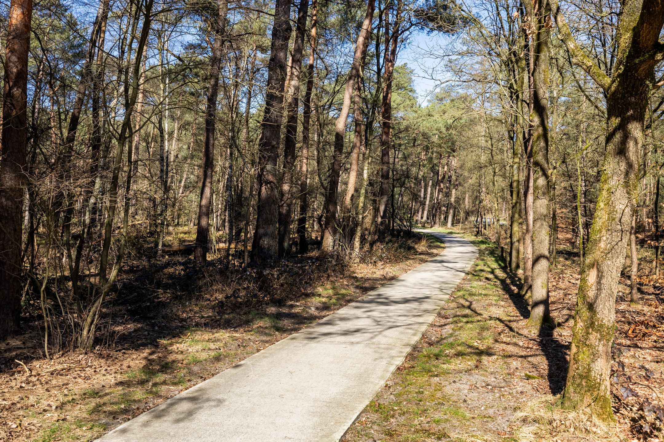 Foto 36 van Stakenberg 75-0027