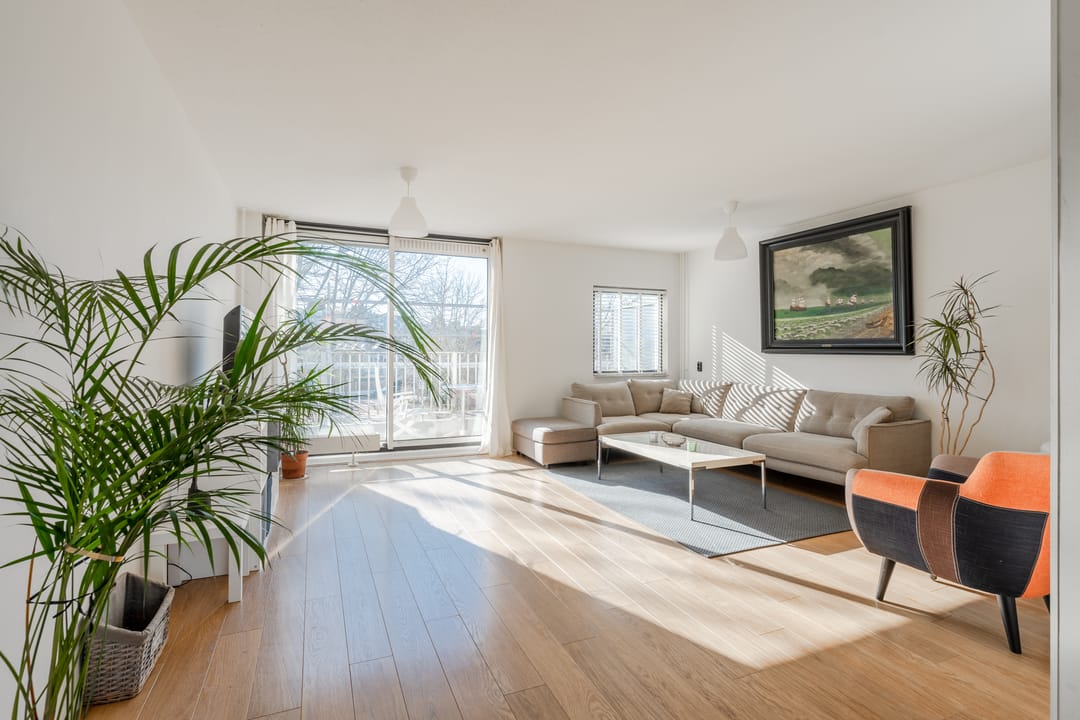 Foto 2 van Boomhazelaaroord 31