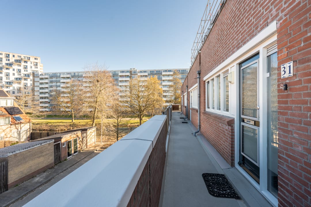 Foto 7 van Boomhazelaaroord 31