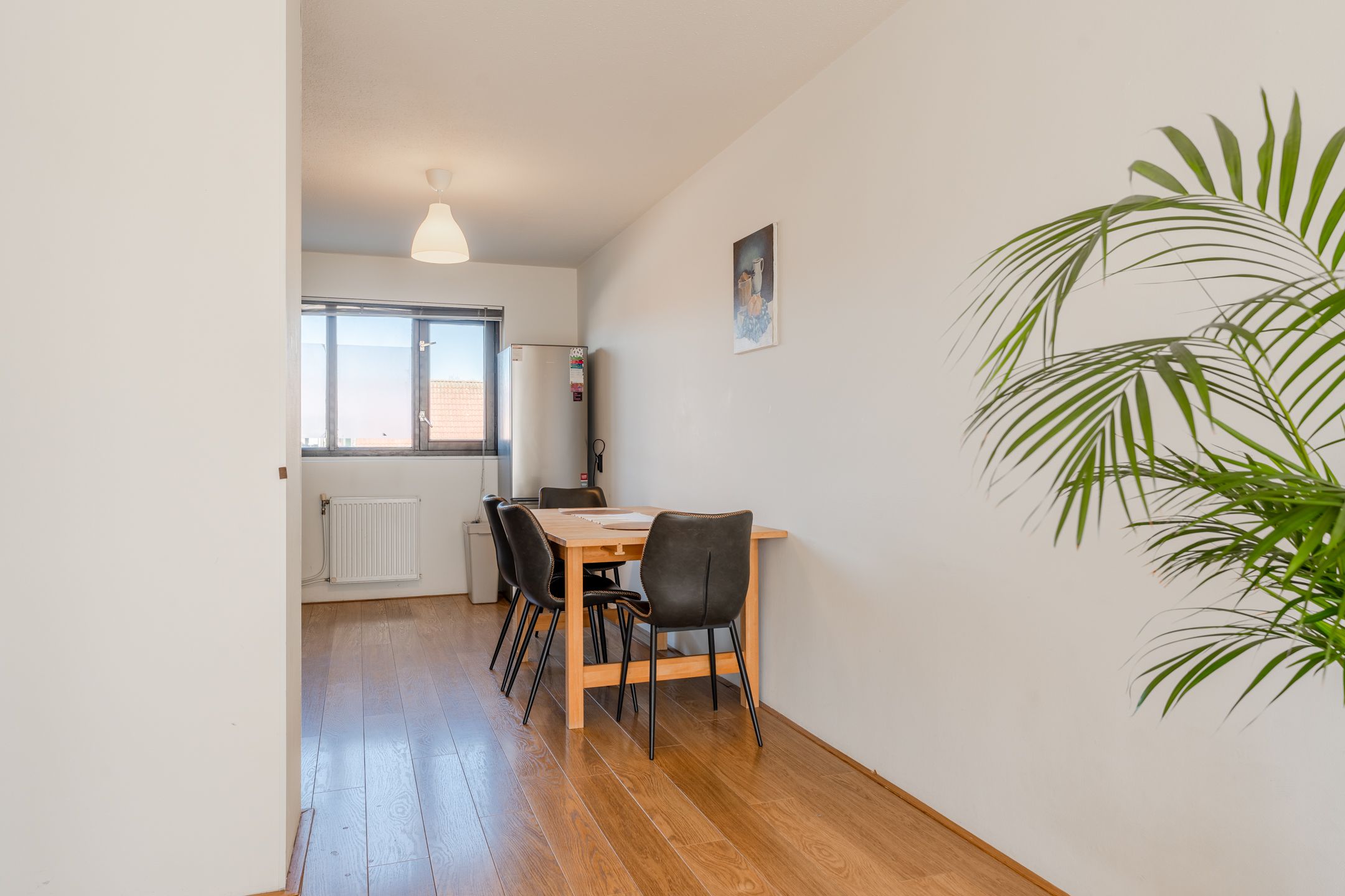 Foto 15 van Boomhazelaaroord 31