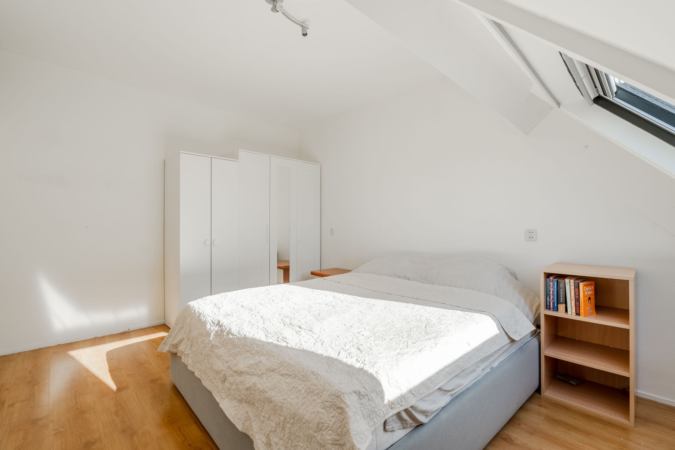 Foto 24 van Boomhazelaaroord 31