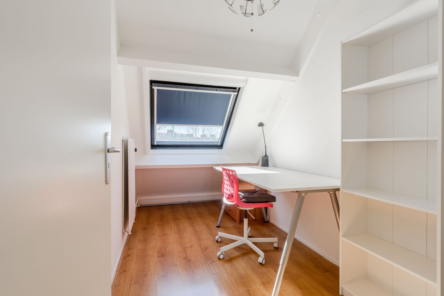 Foto 29 van Boomhazelaaroord 31