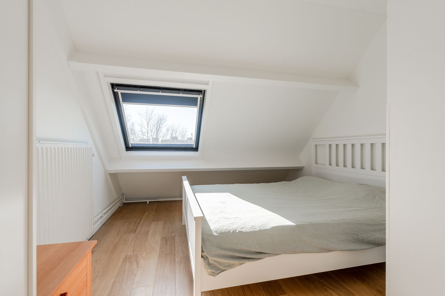 Foto 35 van Boomhazelaaroord 31