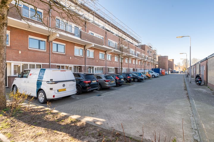 Foto 39 van Boomhazelaaroord 31