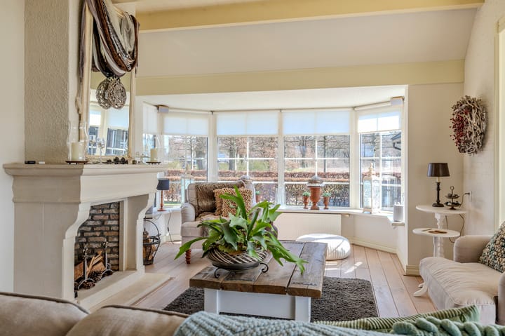 Foto 8 van Zijtak 10